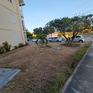 Apartment Kozy At Merrivale, Kingston